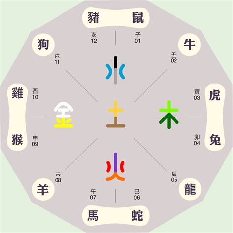 雅的五行|雅字的五行属性是什么